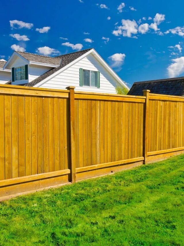 cropped-Fence-Laws-in-Florida-1.jpg