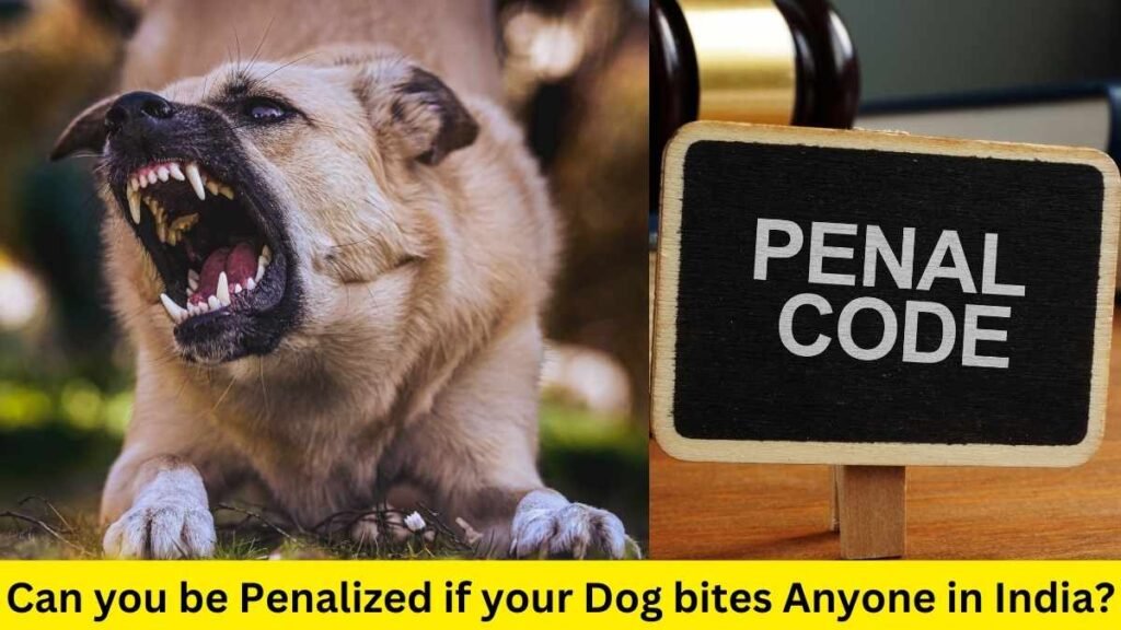 Can you be Penalized if your Dog bites Anyone in India?