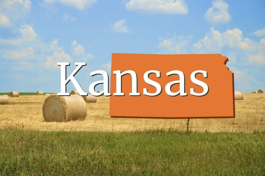 Do It Yourself Divorce: Kansas 